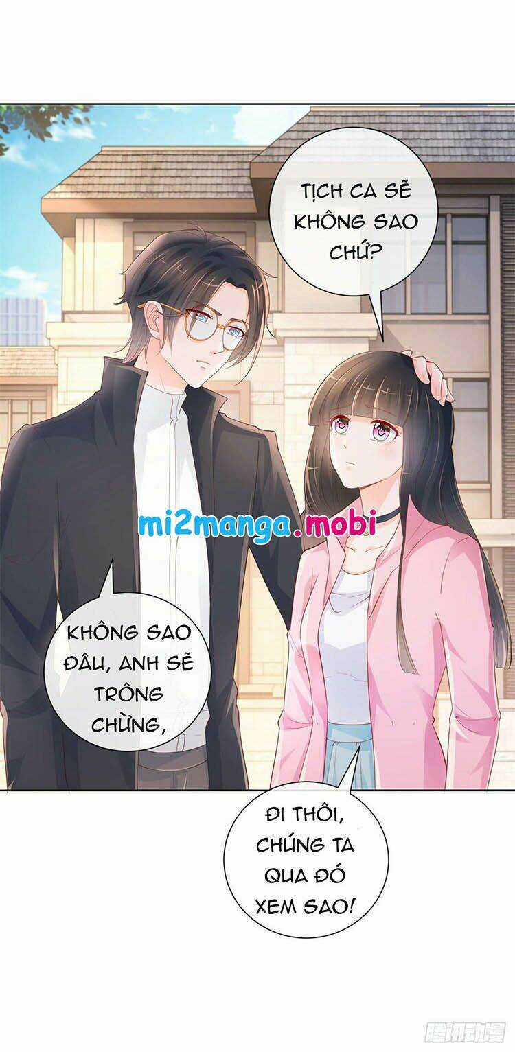 Ẩn Hôn 100%: Chọc Tức Vợ Yêu Mua Một Tặng Một Chapter 342 trang 6