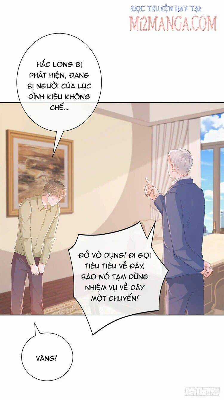 Ẩn Hôn 100%: Chọc Tức Vợ Yêu Mua Một Tặng Một Chapter 344 trang 10