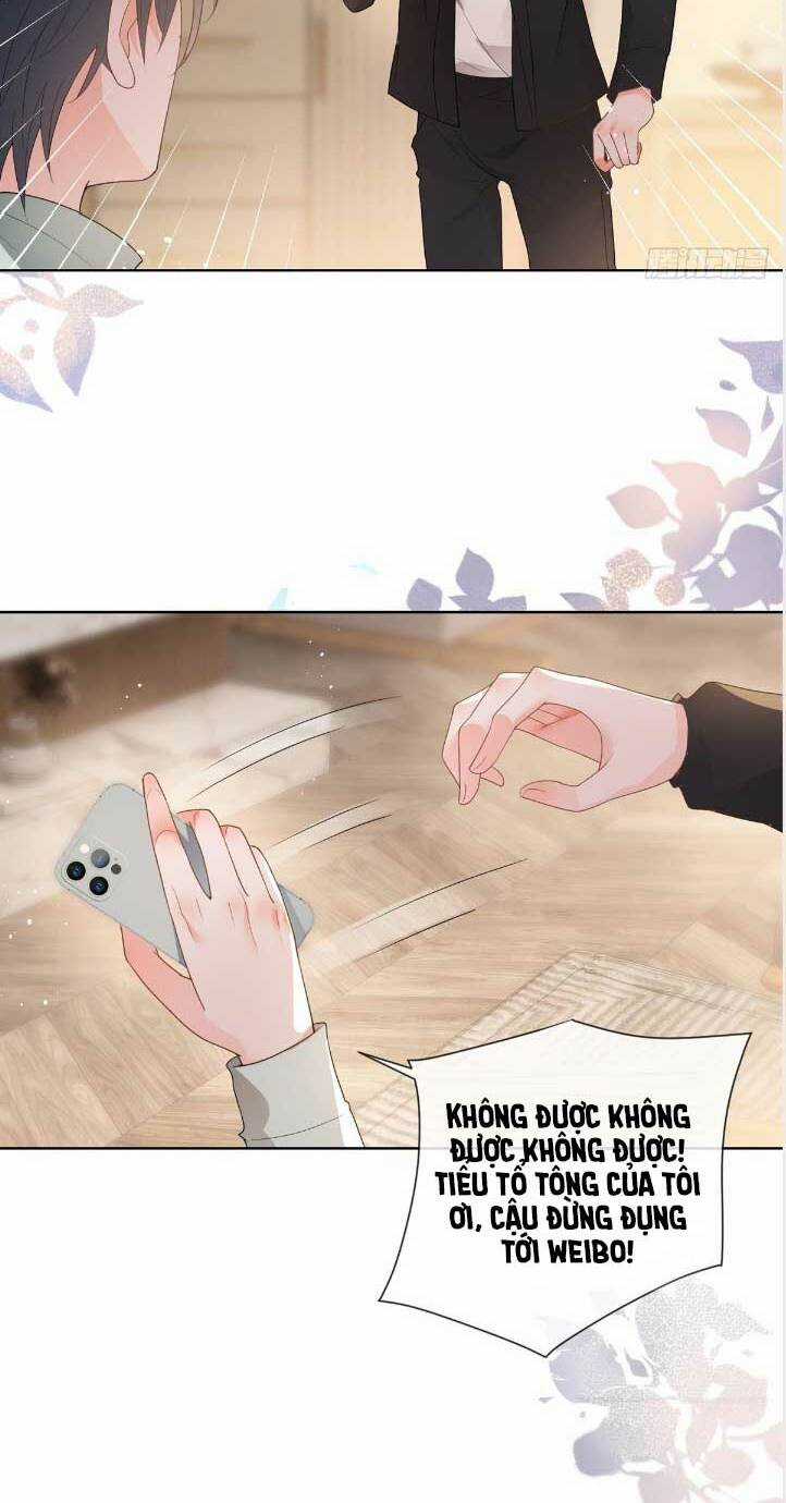 Ẩn Hôn 100%: Chọc Tức Vợ Yêu Mua Một Tặng Một Chapter 362 trang 4