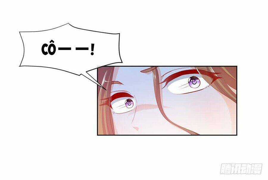 Ẩn Hôn 100%: Chọc Tức Vợ Yêu Mua Một Tặng Một Chapter 49 trang 6