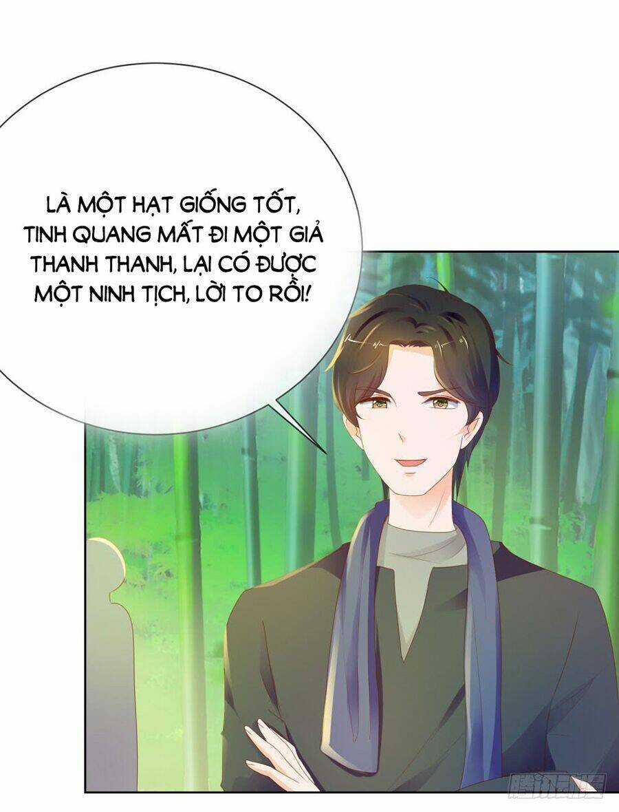 Ẩn Hôn 100%: Chọc Tức Vợ Yêu Mua Một Tặng Một Chapter 62 trang 25