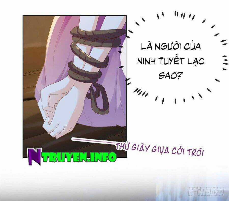 Ẩn Hôn 100%: Chọc Tức Vợ Yêu Mua Một Tặng Một Chapter 65 trang 2