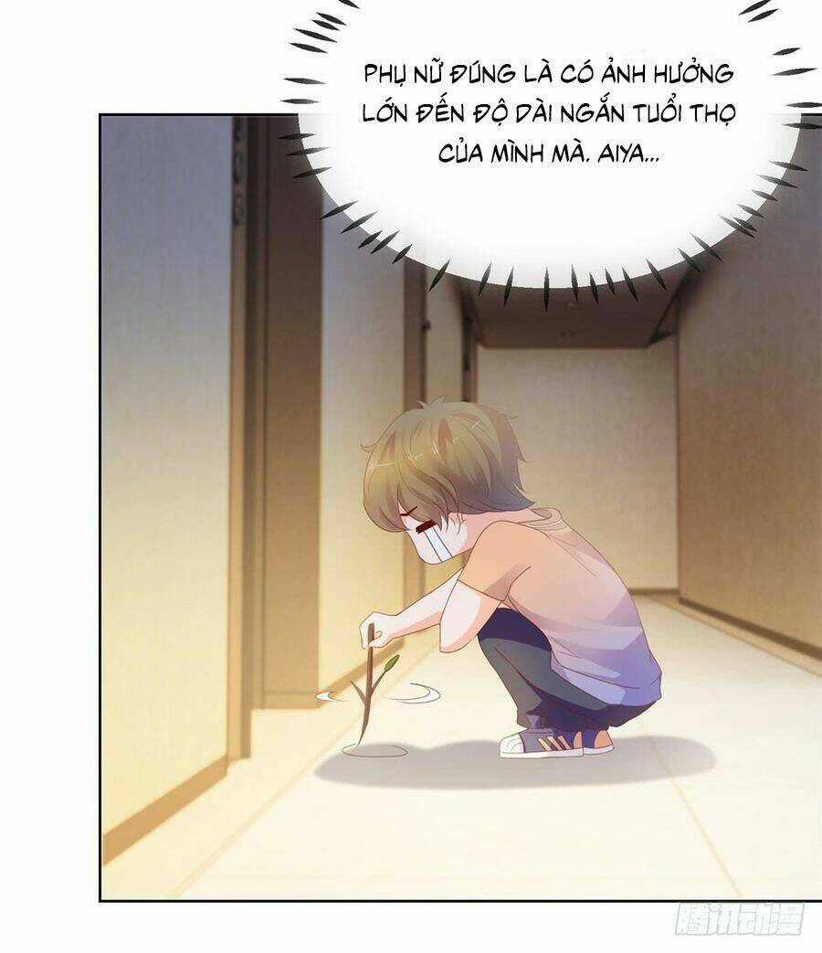 Ẩn Hôn 100%: Chọc Tức Vợ Yêu Mua Một Tặng Một Chapter 65 trang 29