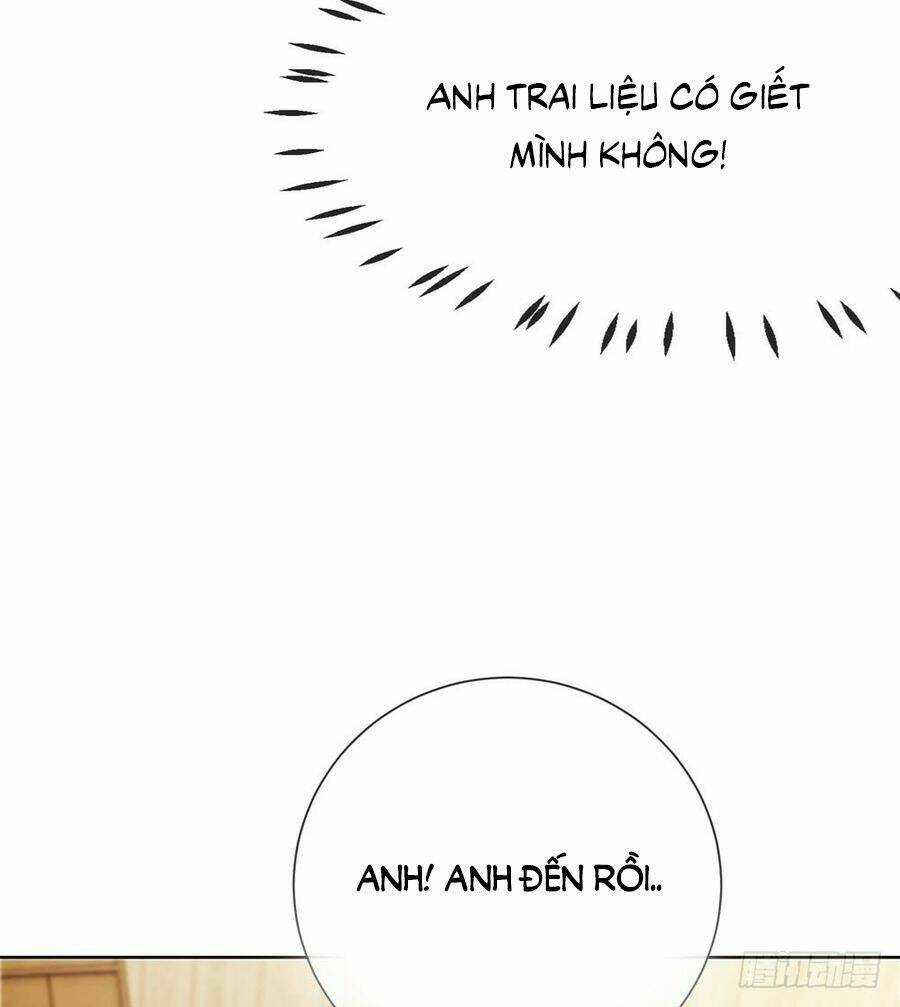 Ẩn Hôn 100%: Chọc Tức Vợ Yêu Mua Một Tặng Một Chapter 65 trang 33