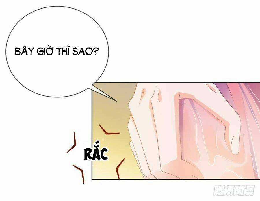 Ẩn Hôn 100%: Chọc Tức Vợ Yêu Mua Một Tặng Một Chapter 66 trang 44