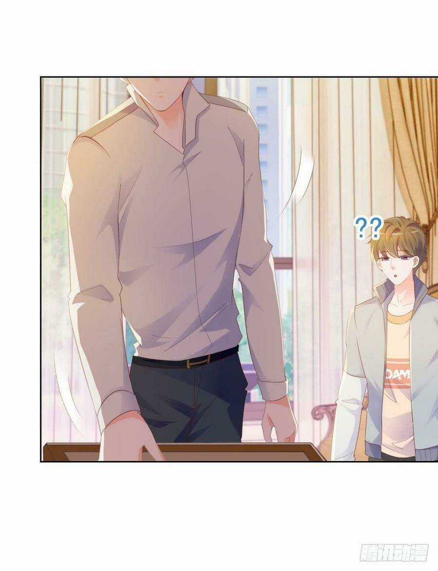 Ẩn Hôn 100%: Chọc Tức Vợ Yêu Mua Một Tặng Một Chapter 71 trang 6