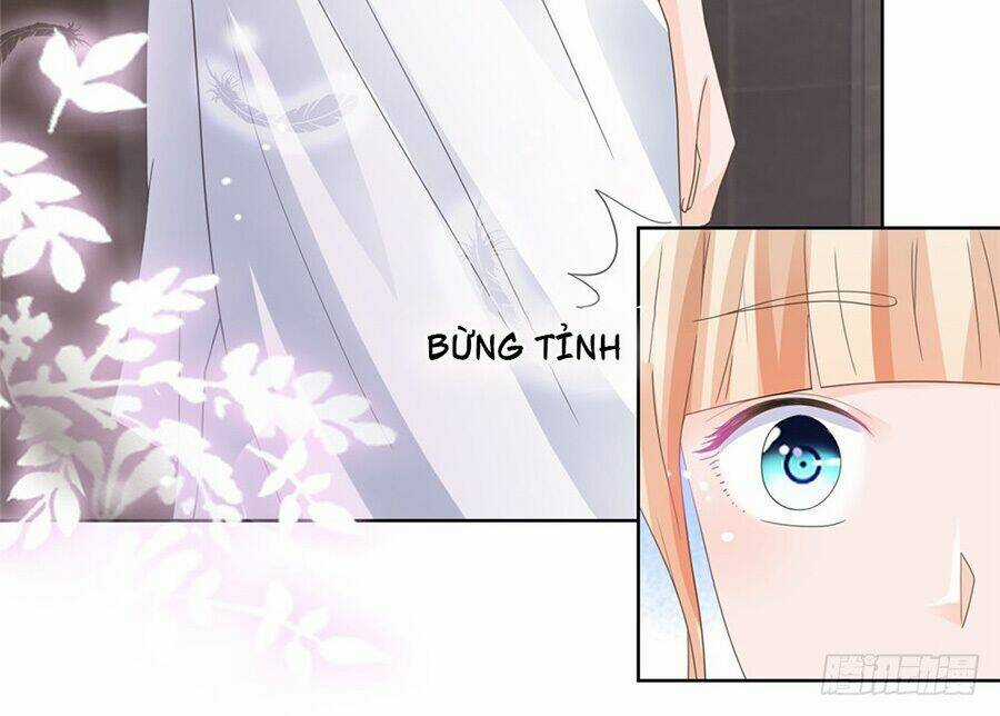 Ẩn Hôn 100%: Chọc Tức Vợ Yêu Mua Một Tặng Một Chapter 8 trang 17