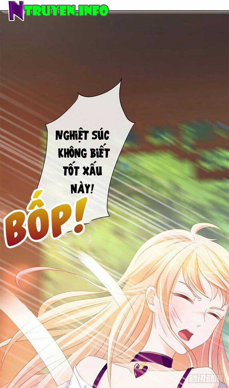 Ẩn Hôn 100%: Chọc Tức Vợ Yêu Mua Một Tặng Một Chapter 82 trang 23