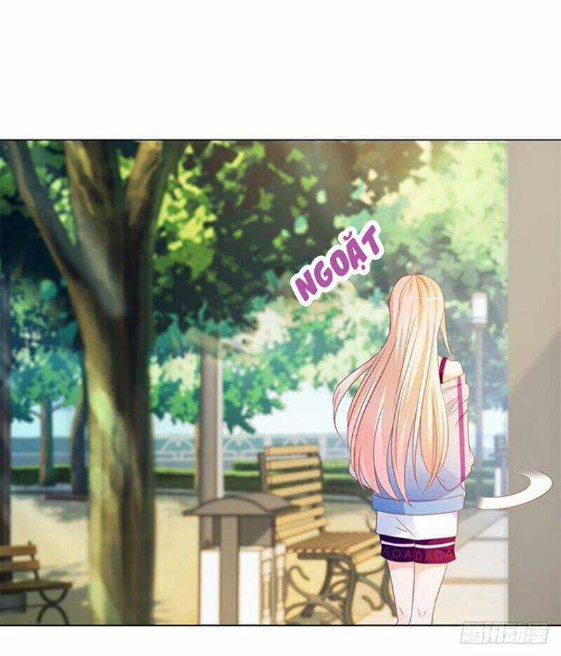 Ẩn Hôn 100%: Chọc Tức Vợ Yêu Mua Một Tặng Một Chapter 82 trang 41