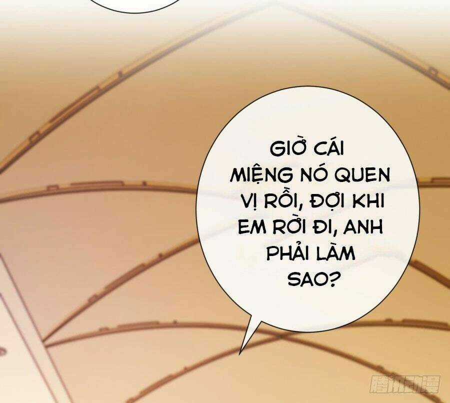 Ẩn Hôn 100%: Chọc Tức Vợ Yêu Mua Một Tặng Một Chapter 86 trang 25