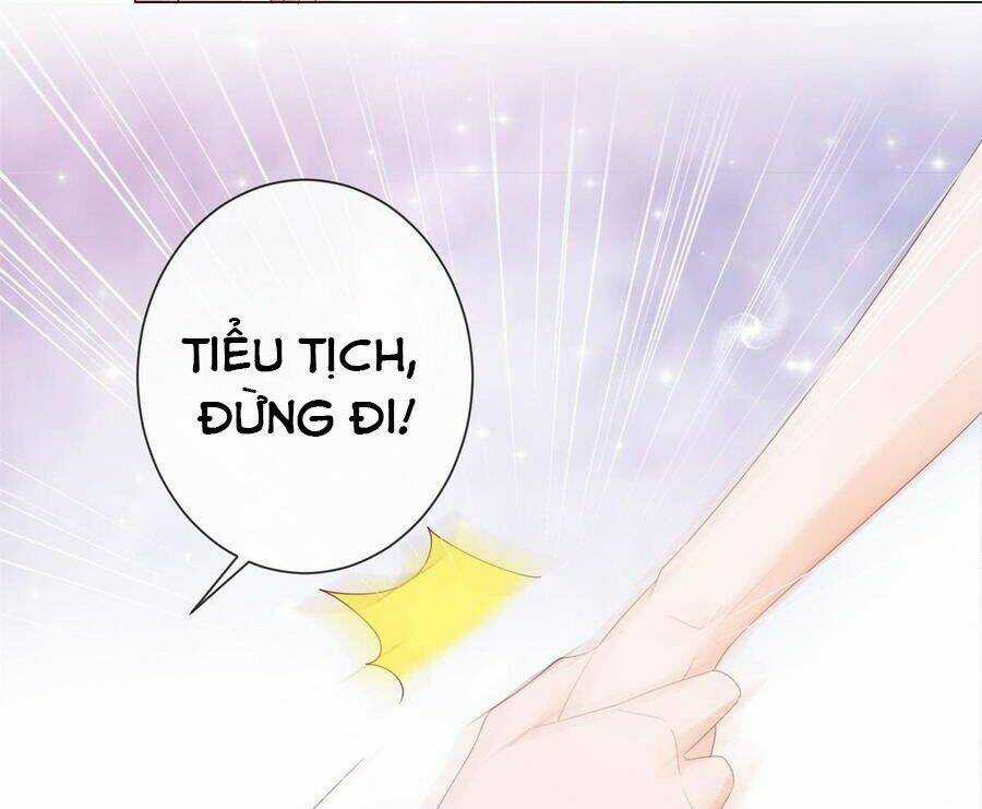 Ẩn Hôn 100%: Chọc Tức Vợ Yêu Mua Một Tặng Một Chapter 94 trang 13