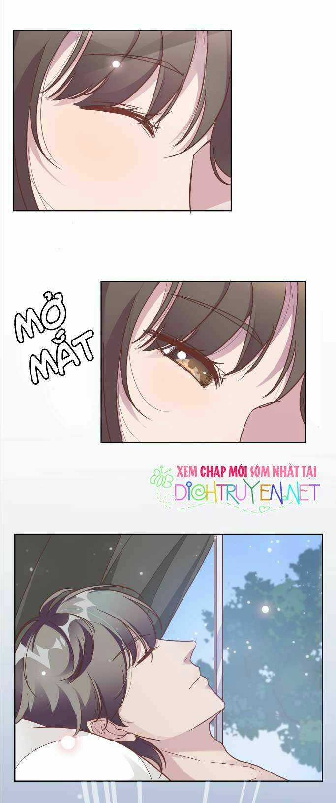 Ẩn Hôn Chí Ái Chapter 1 trang 4