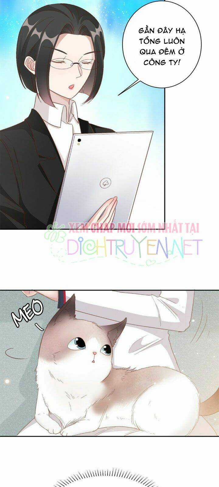 Ẩn Hôn Chí Ái Chapter 11 trang 16