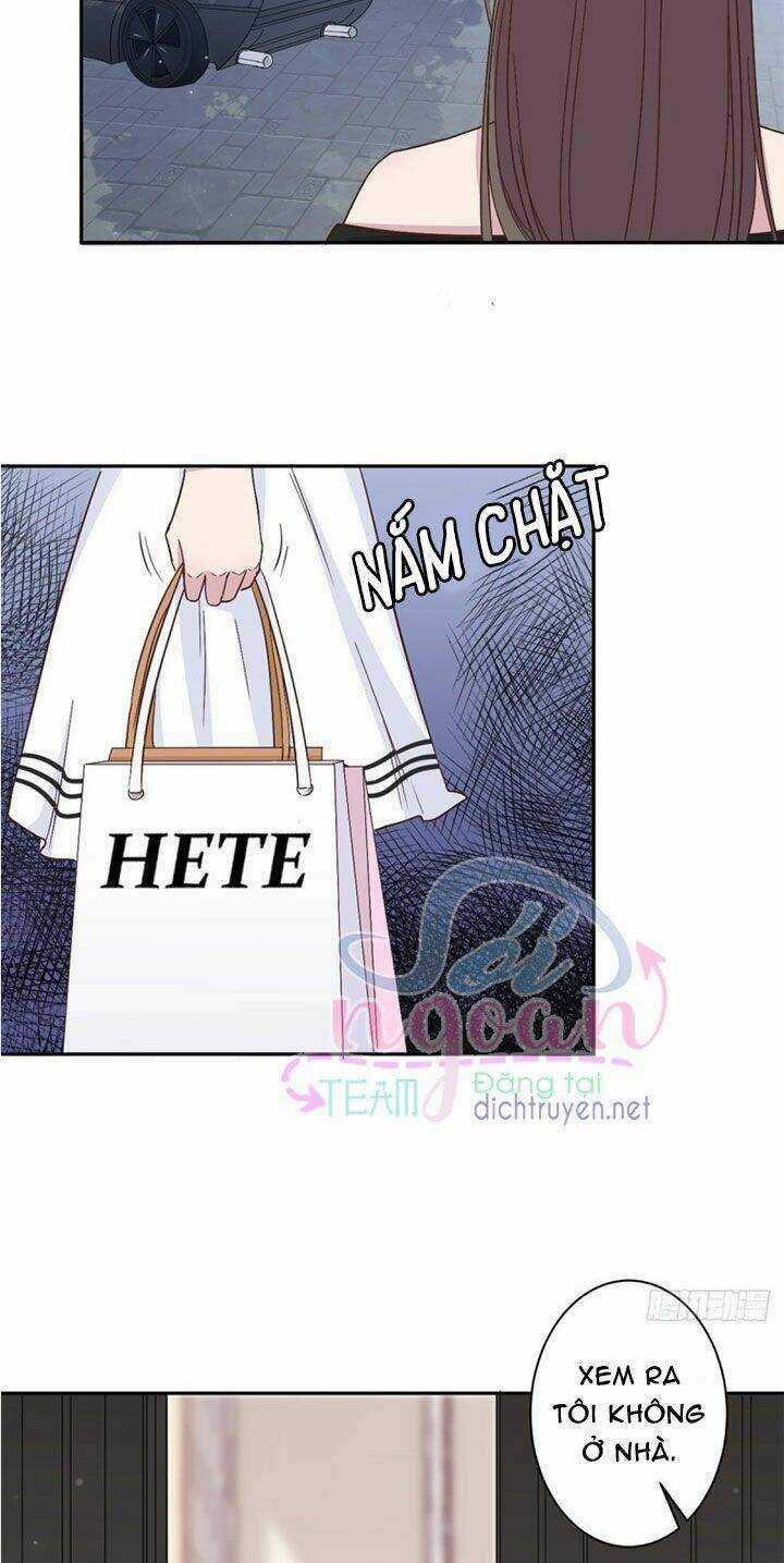 Ẩn Hôn Chí Ái Chapter 13 trang 3