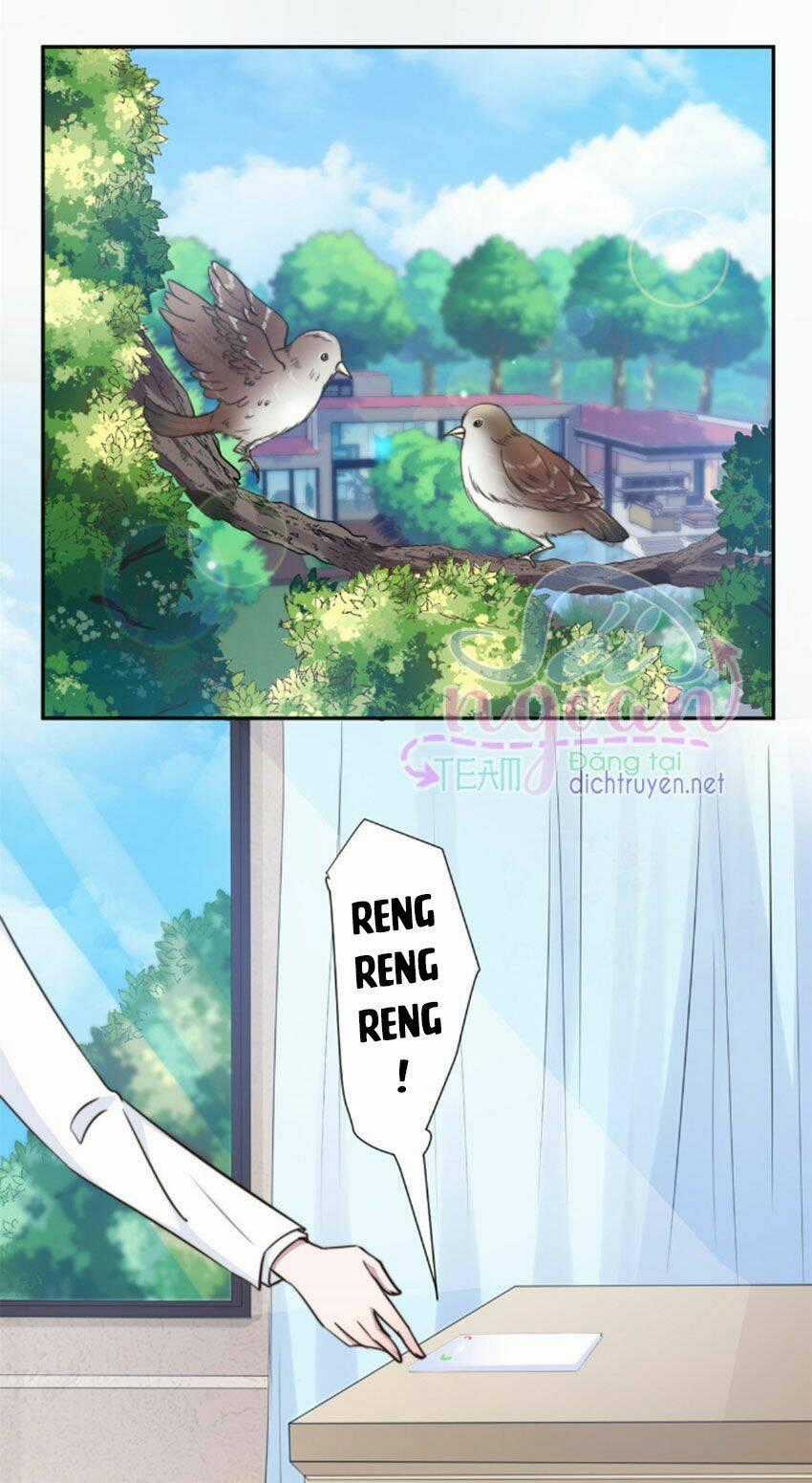 Ẩn Hôn Chí Ái Chapter 35 trang 1