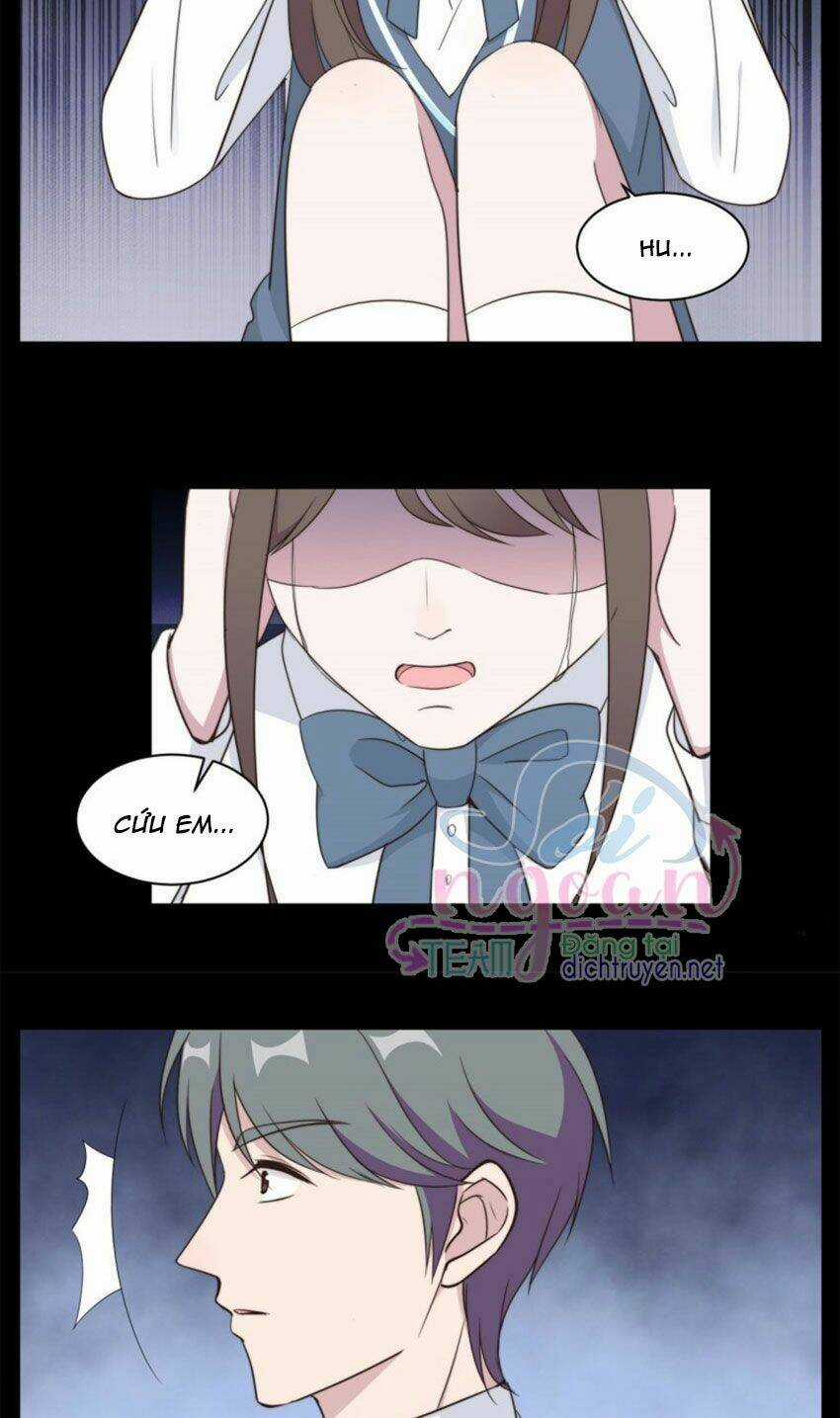 Ẩn Hôn Chí Ái Chapter 41 trang 11