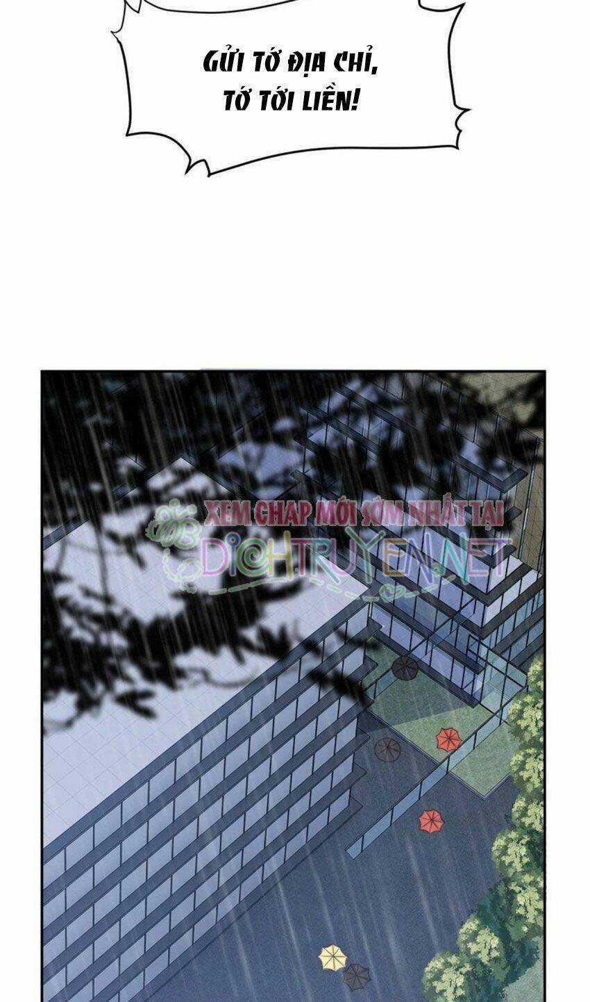 Ẩn Hôn Chí Ái Chapter 56 trang 8