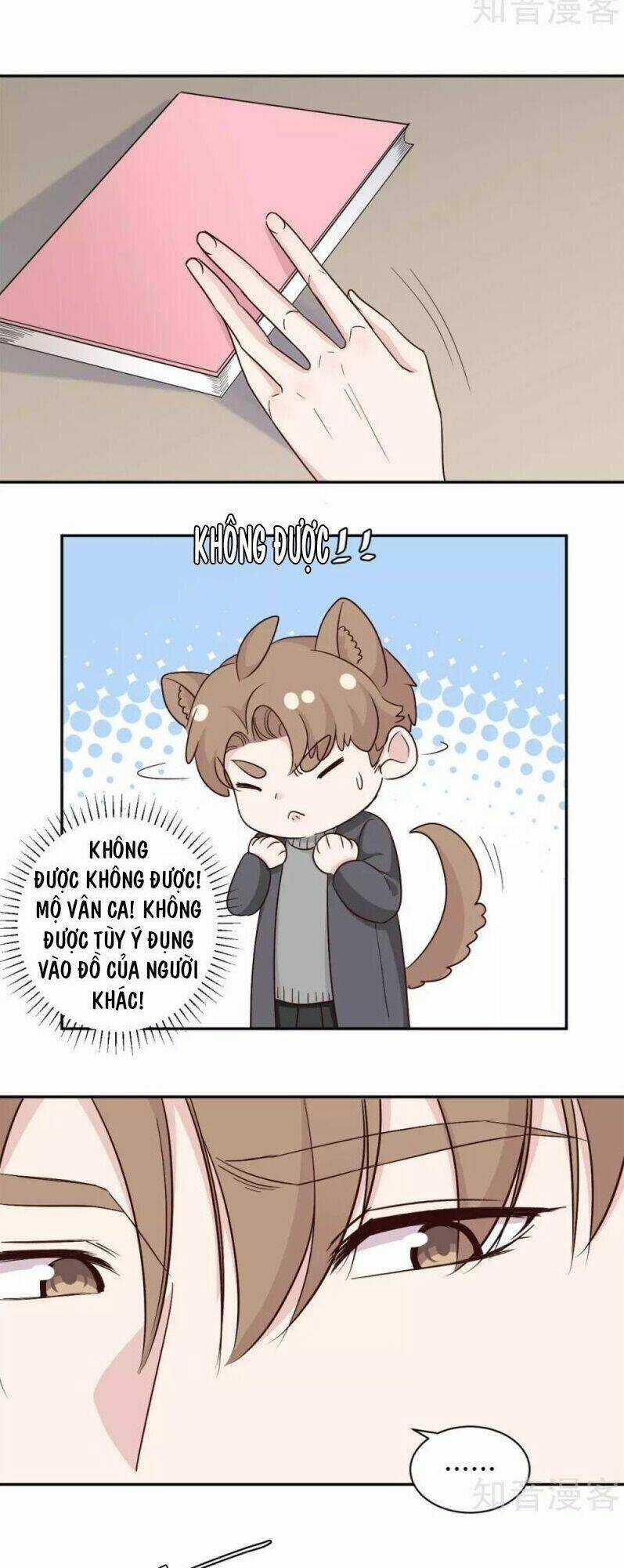 Ẩn Hôn Chí Ái Chapter 61 trang 7