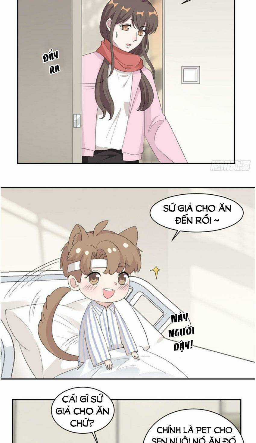 Ẩn Hôn Chí Ái Chapter 69 trang 12