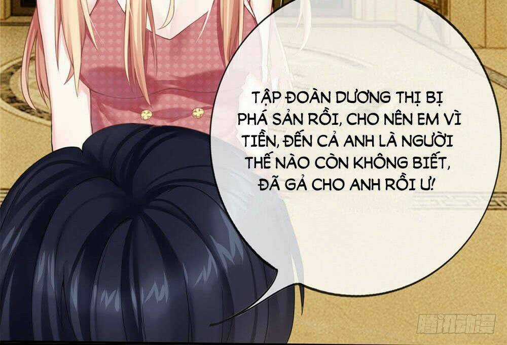 Ẩn Hôn Mật Ái: Cô Vợ Nhỏ Của Tổng Tài Tàn Nhẫn Chapter 1 trang 17
