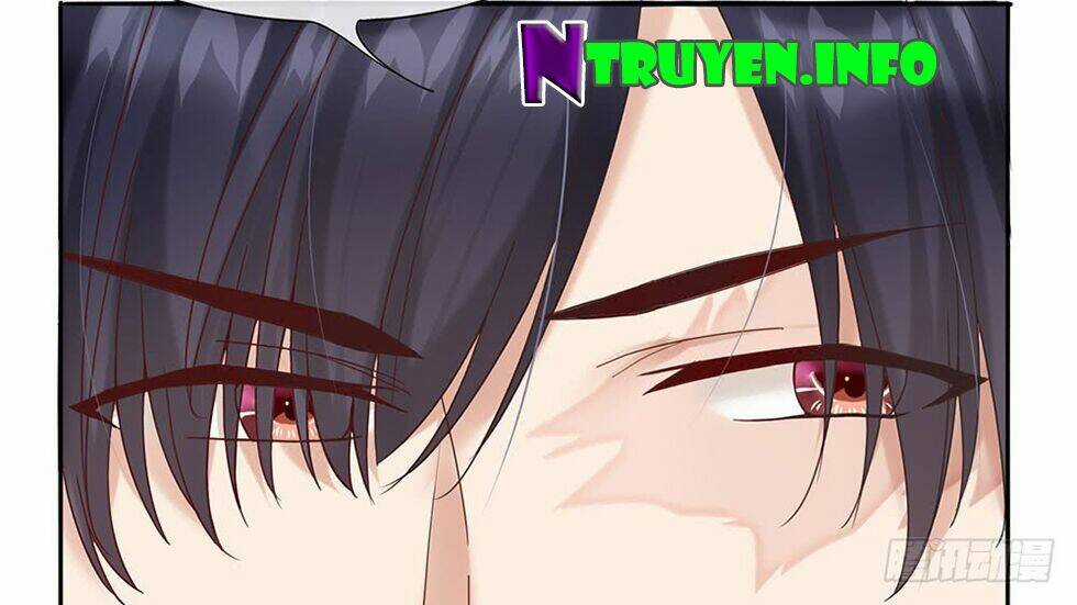 Ẩn Hôn Mật Ái: Cô Vợ Nhỏ Của Tổng Tài Tàn Nhẫn Chapter 10 trang 19