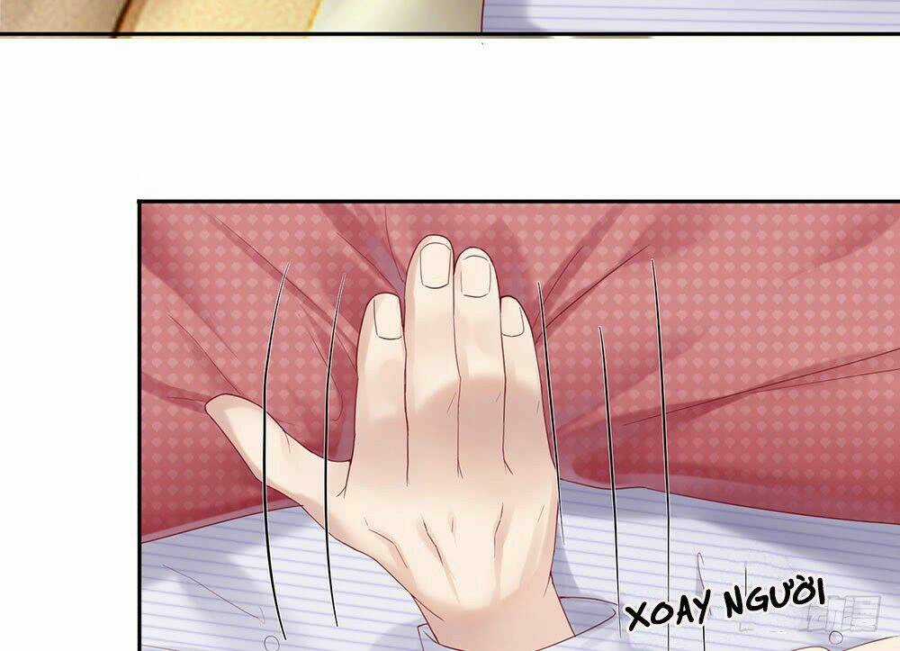 Ẩn Hôn Mật Ái: Cô Vợ Nhỏ Của Tổng Tài Tàn Nhẫn Chapter 11 trang 12