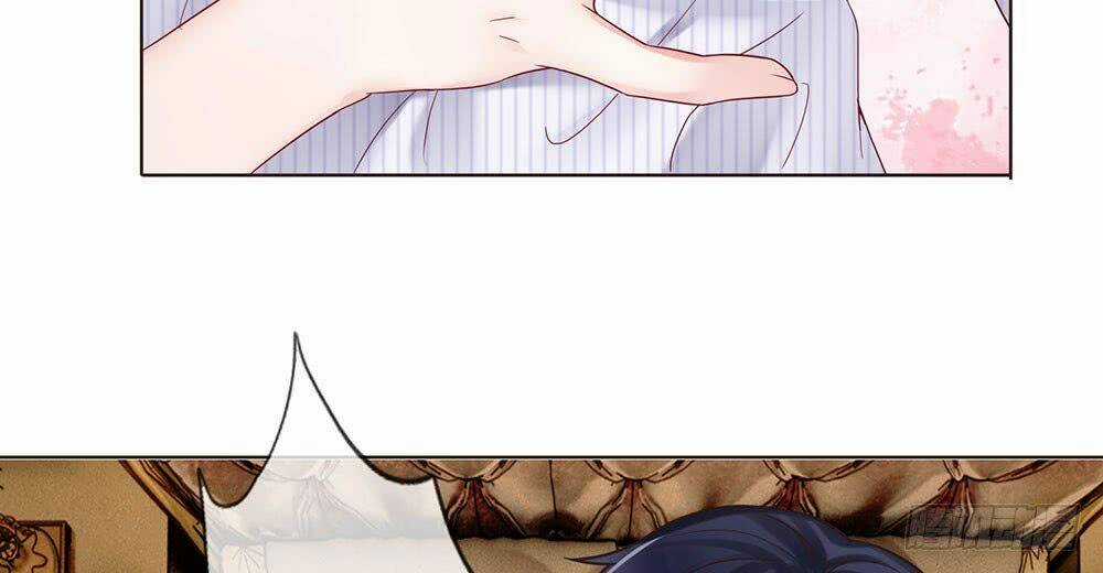 Ẩn Hôn Mật Ái: Cô Vợ Nhỏ Của Tổng Tài Tàn Nhẫn Chapter 13 trang 13