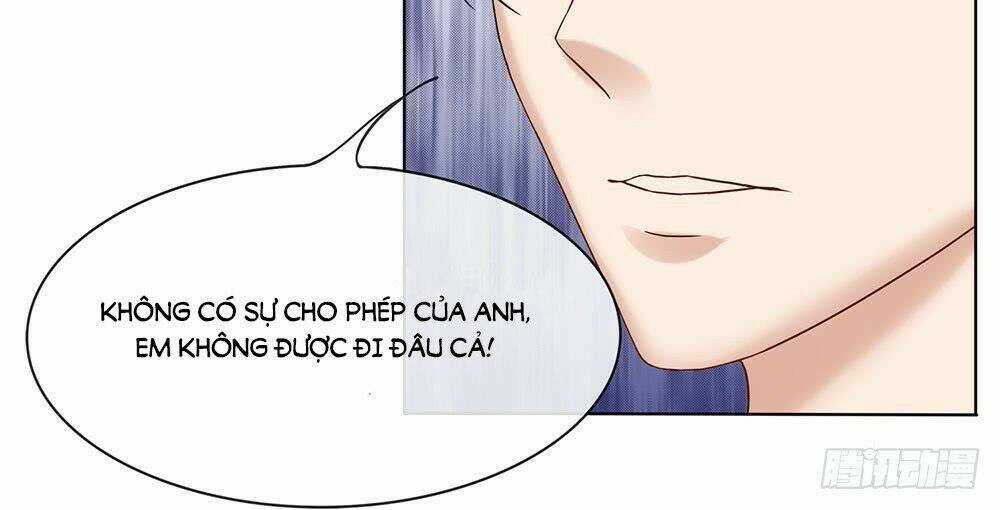 Ẩn Hôn Mật Ái: Cô Vợ Nhỏ Của Tổng Tài Tàn Nhẫn Chapter 16 trang 2