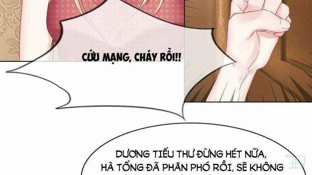 Ẩn Hôn Mật Ái: Cô Vợ Nhỏ Của Tổng Tài Tàn Nhẫn Chapter 19 trang 17