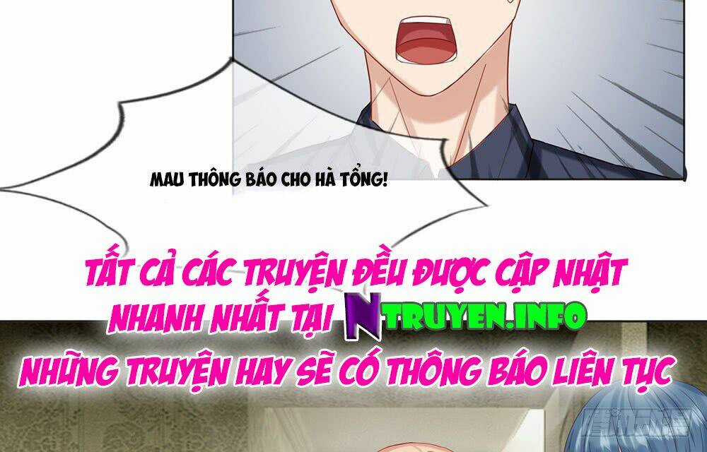 Ẩn Hôn Mật Ái: Cô Vợ Nhỏ Của Tổng Tài Tàn Nhẫn Chapter 19 trang 23