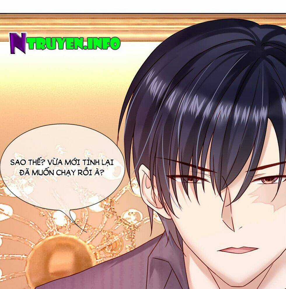 Ẩn Hôn Mật Ái: Cô Vợ Nhỏ Của Tổng Tài Tàn Nhẫn Chapter 26 trang 22