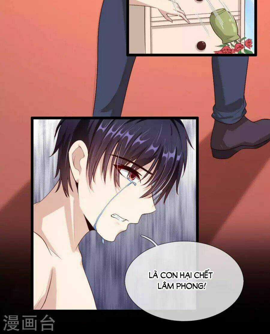 Ẩn Hôn Mật Ái: Cô Vợ Nhỏ Của Tổng Tài Tàn Nhẫn Chapter 39 trang 17