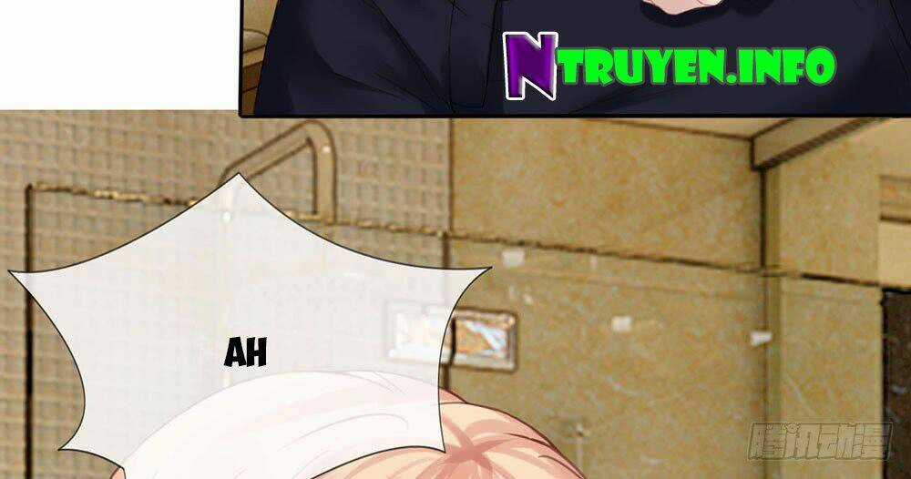 Ẩn Hôn Mật Ái: Cô Vợ Nhỏ Của Tổng Tài Tàn Nhẫn Chapter 5 trang 3