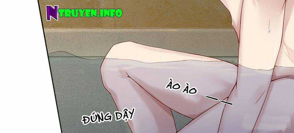 Ẩn Hôn Mật Ái: Cô Vợ Nhỏ Của Tổng Tài Tàn Nhẫn Chapter 7 trang 14