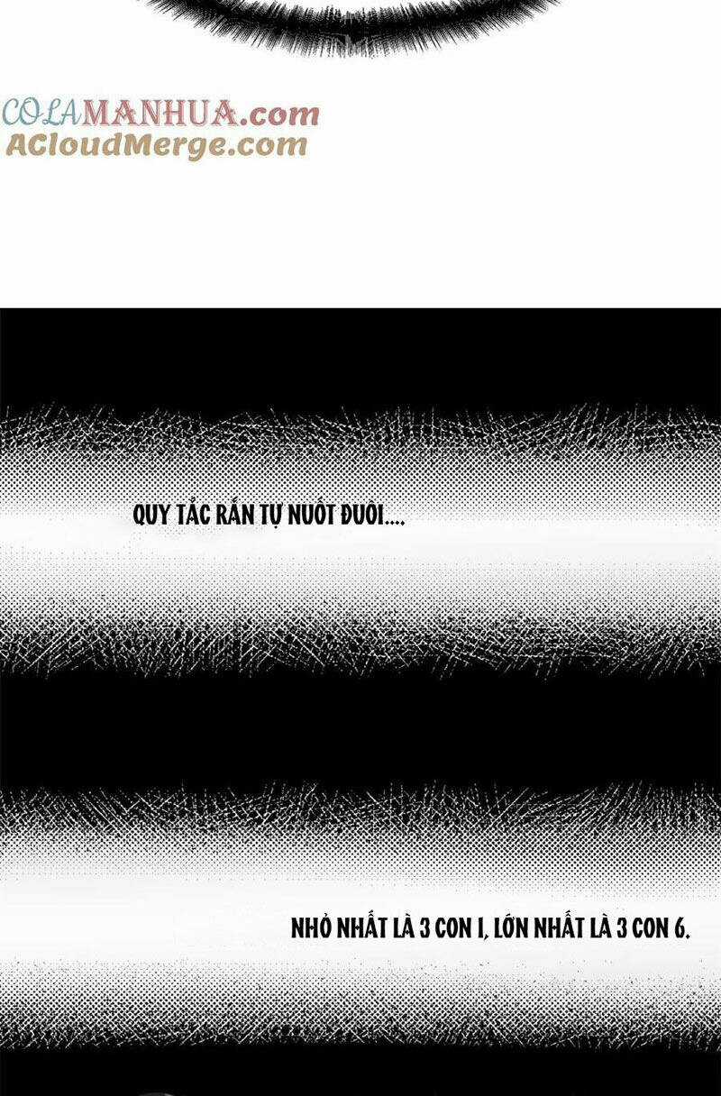 Ẩn Núp Trăm Ngày, Ta Cưới Luôn Nữ Đế Nước Địch Làm Vợ Chapter 62 trang 54