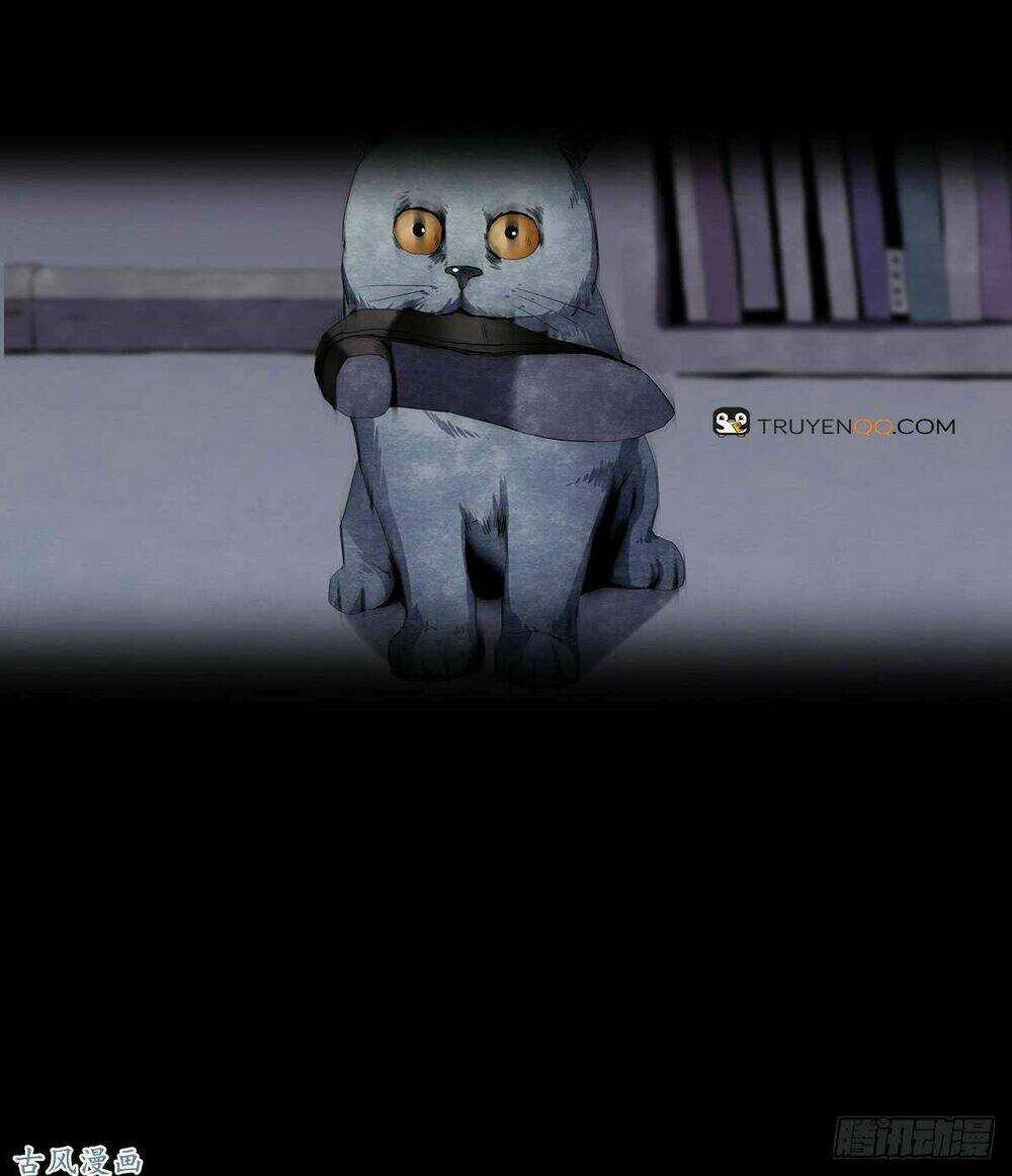 Ẩn Số Về Tứ Gia Chapter 2 trang 29