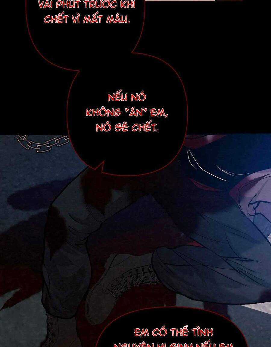 An Toàn Như Ở Nhà Chapter 27 trang 18