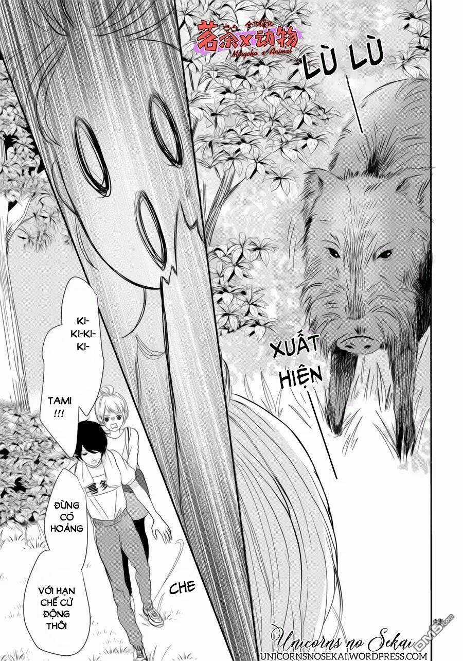 Anadorenai Ne Kitami-Kun Chapter 6 trang 12