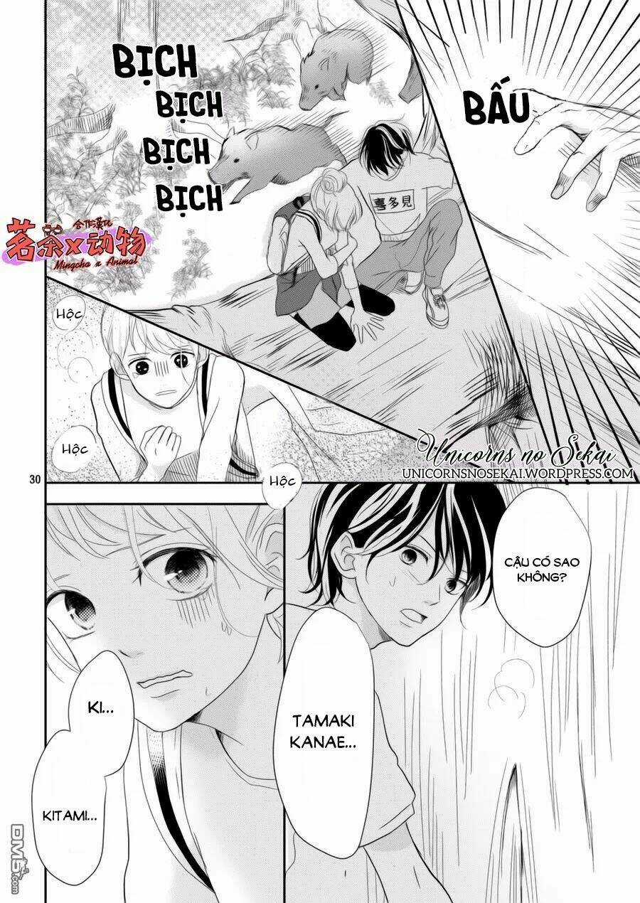 Anadorenai Ne Kitami-Kun Chapter 6 trang 29