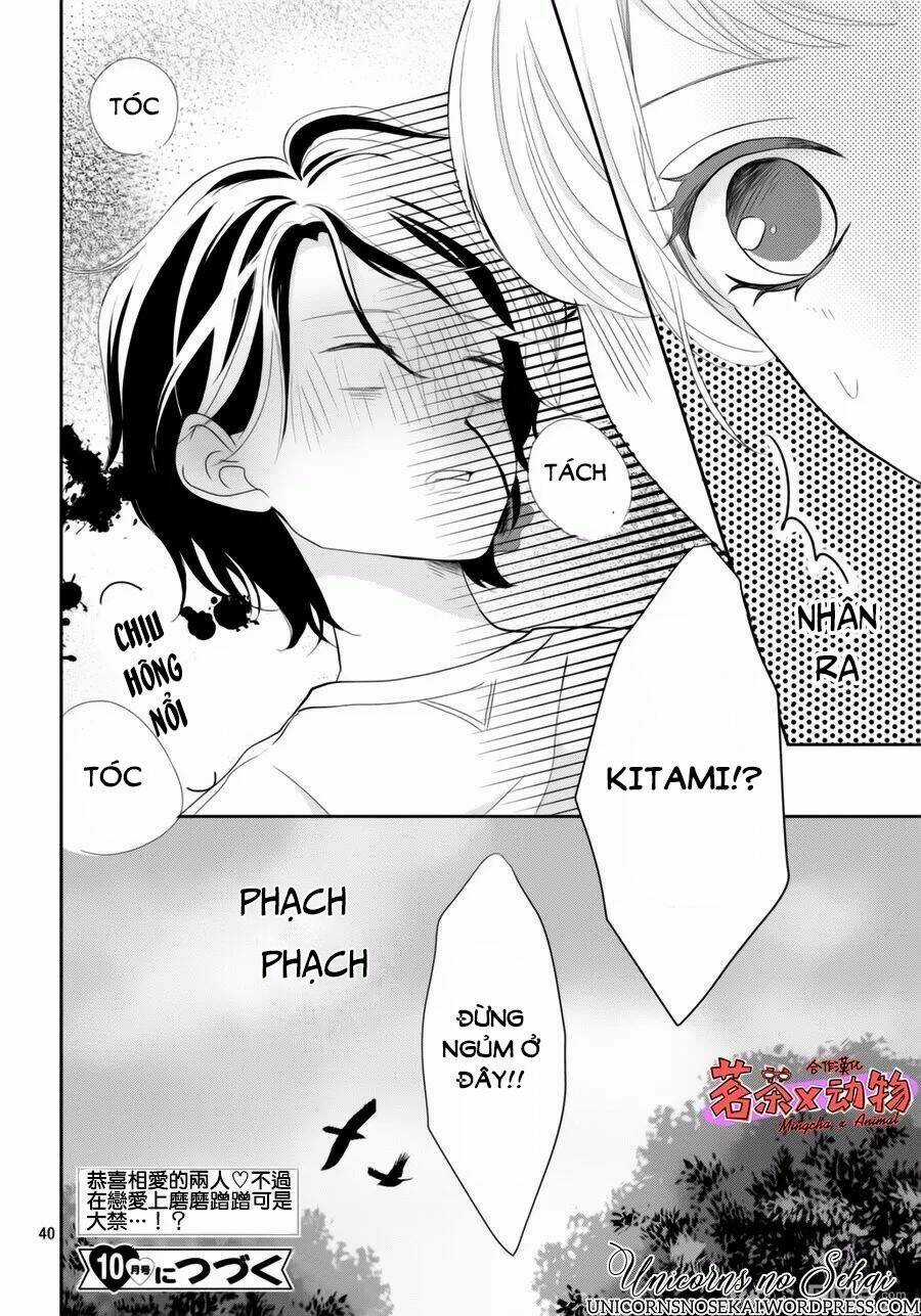 Anadorenai Ne Kitami-Kun Chapter 6 trang 39