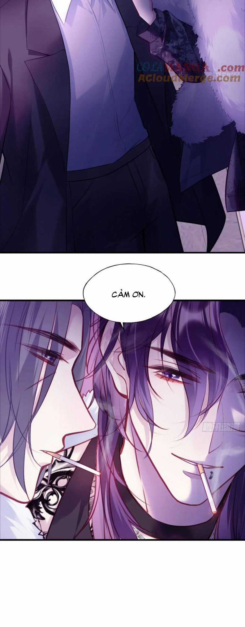 Anh Ấy Chưa Từng Rơi Xuống Chapter 105 trang 11