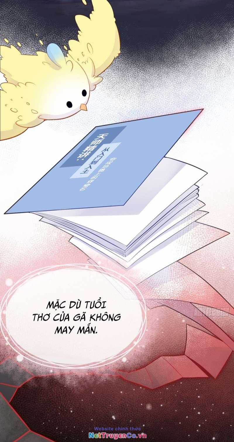 Anh Ấy Chưa Từng Rơi Xuống Chapter 13 trang 2