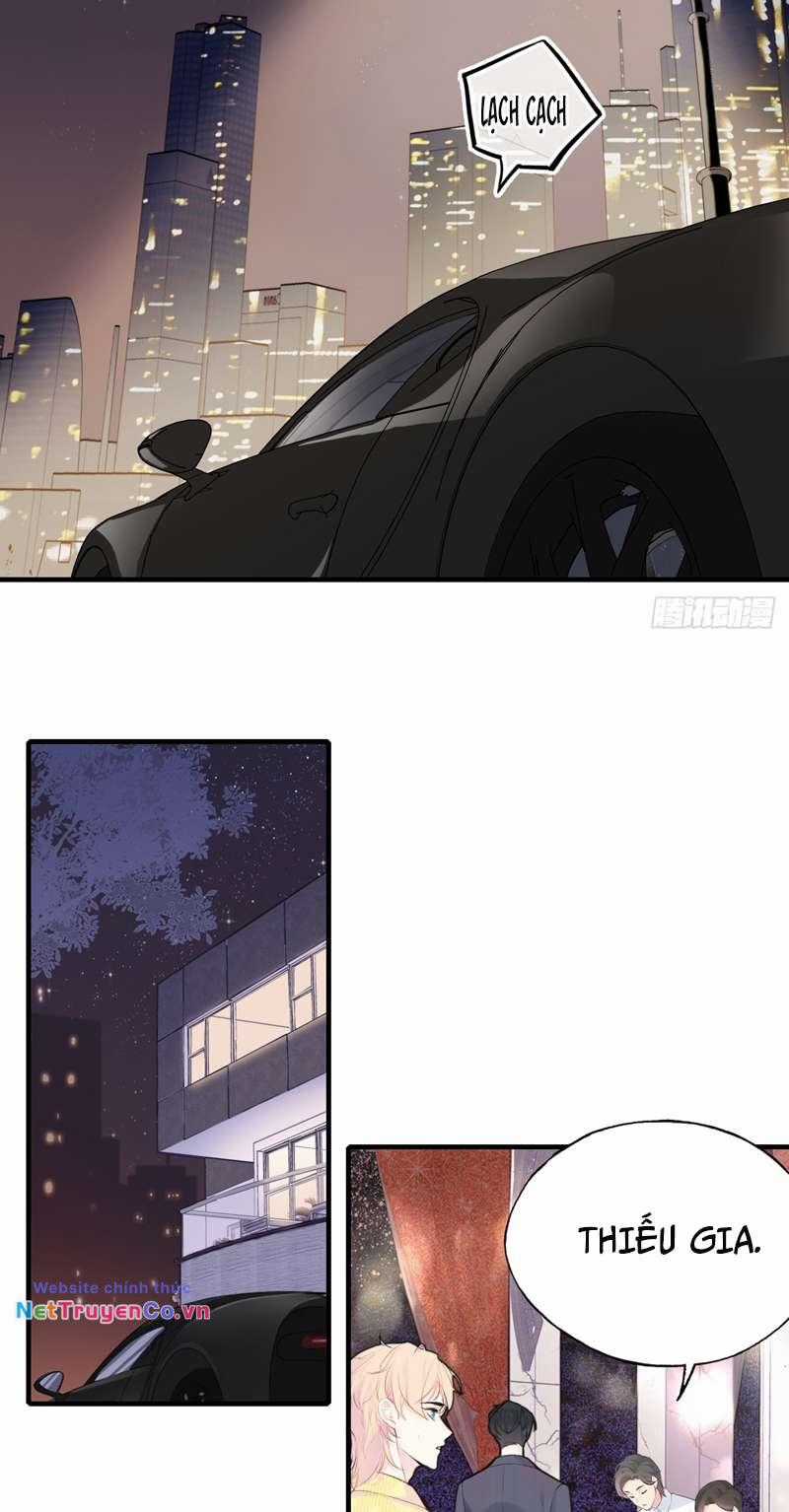 Anh Ấy Chưa Từng Rơi Xuống Chapter 14 trang 24