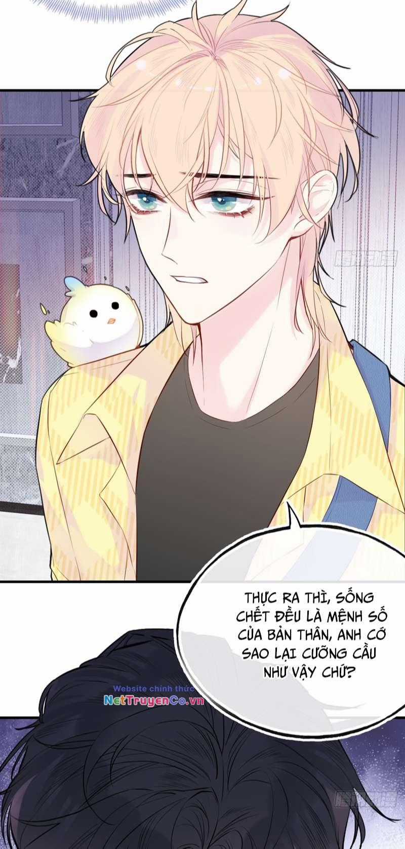 Anh Ấy Chưa Từng Rơi Xuống Chapter 15 trang 26