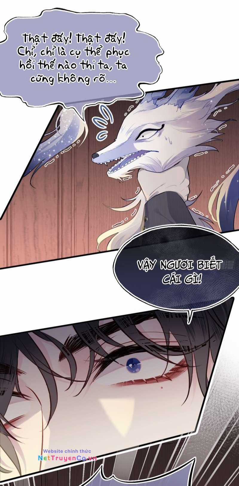 Anh Ấy Chưa Từng Rơi Xuống Chapter 16 trang 7