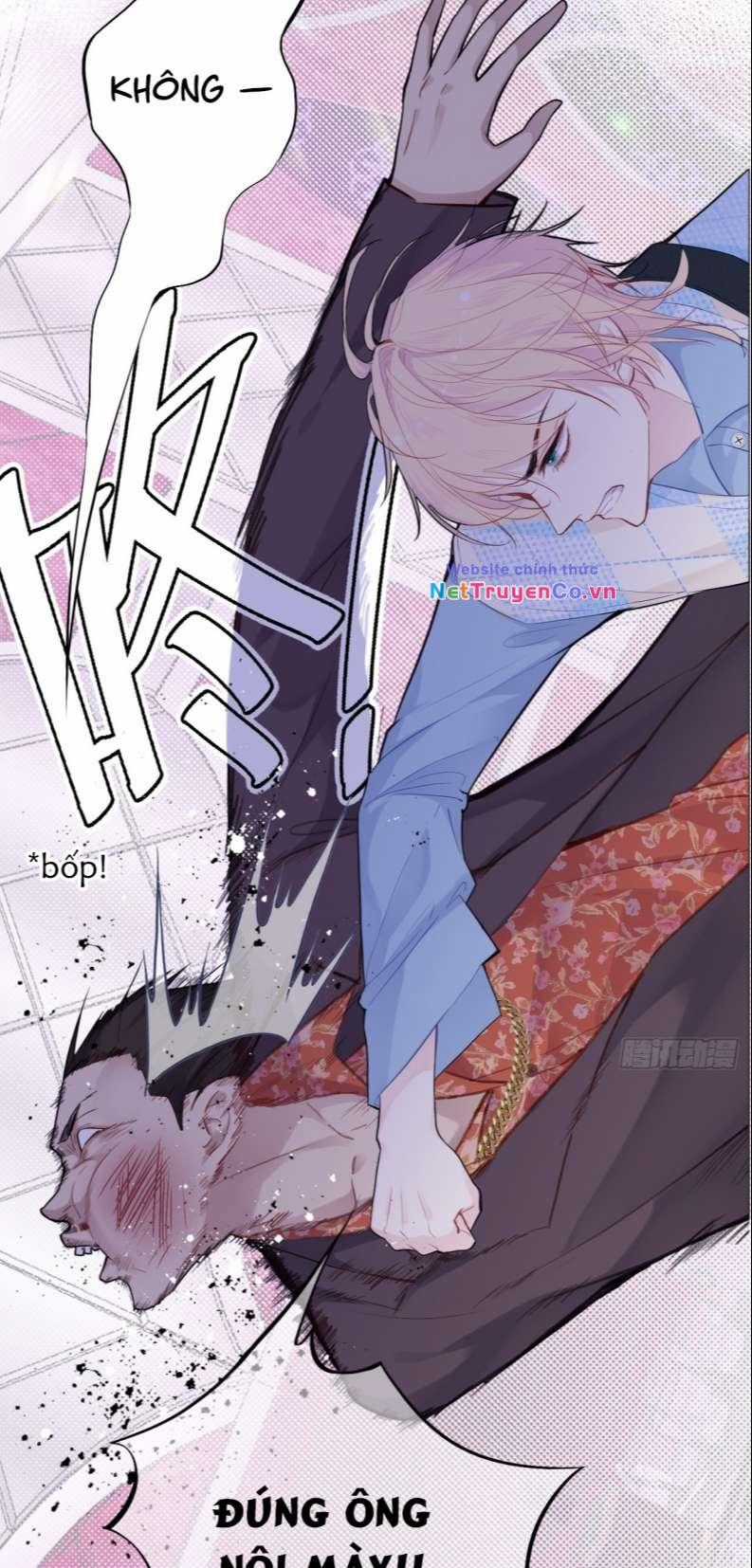 Anh Ấy Chưa Từng Rơi Xuống Chapter 17 trang 11