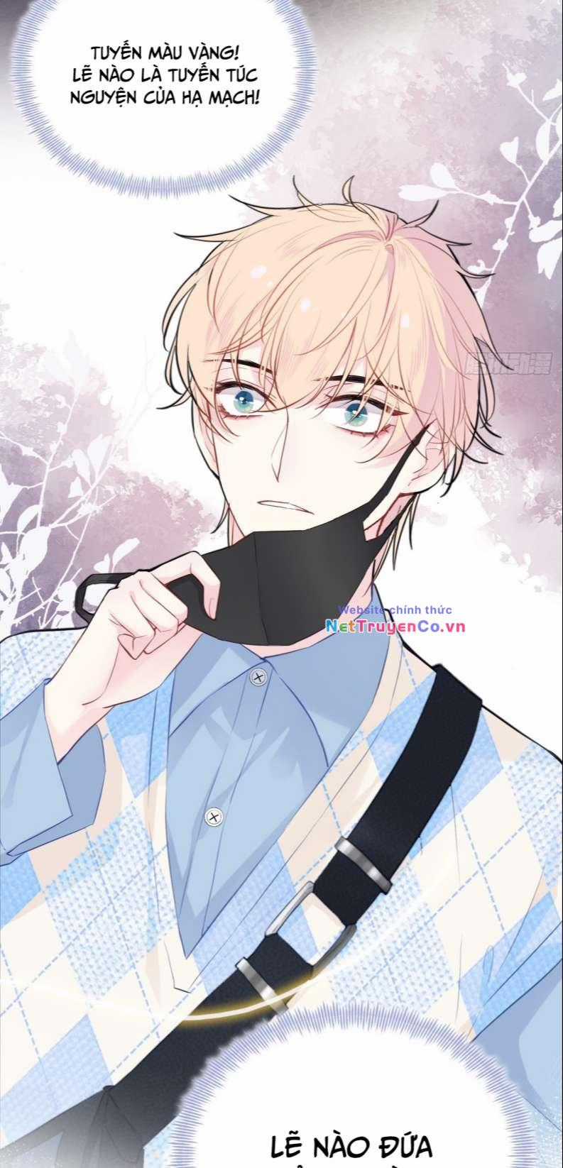 Anh Ấy Chưa Từng Rơi Xuống Chapter 17 trang 37