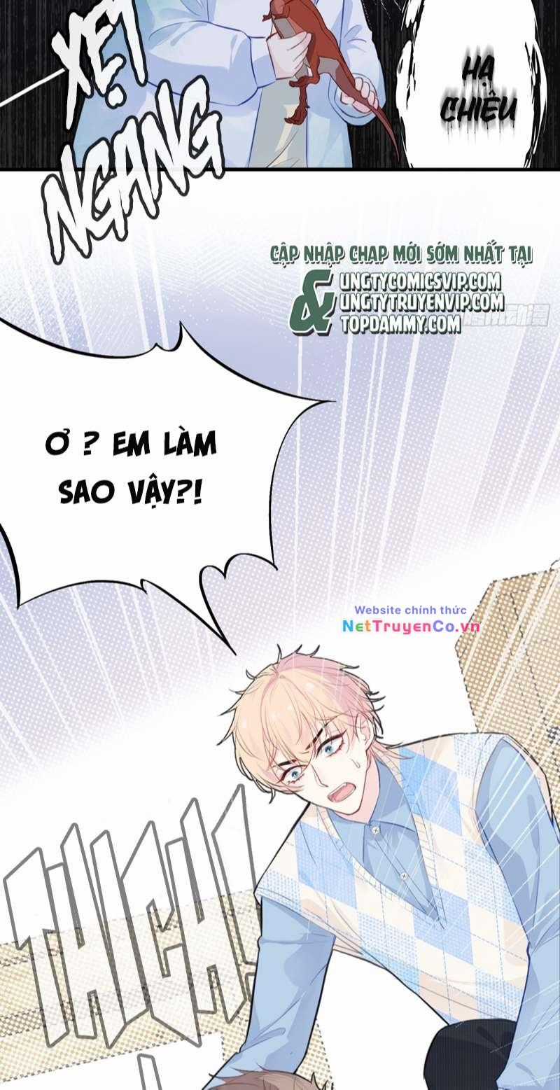 Anh Ấy Chưa Từng Rơi Xuống Chapter 18 trang 23