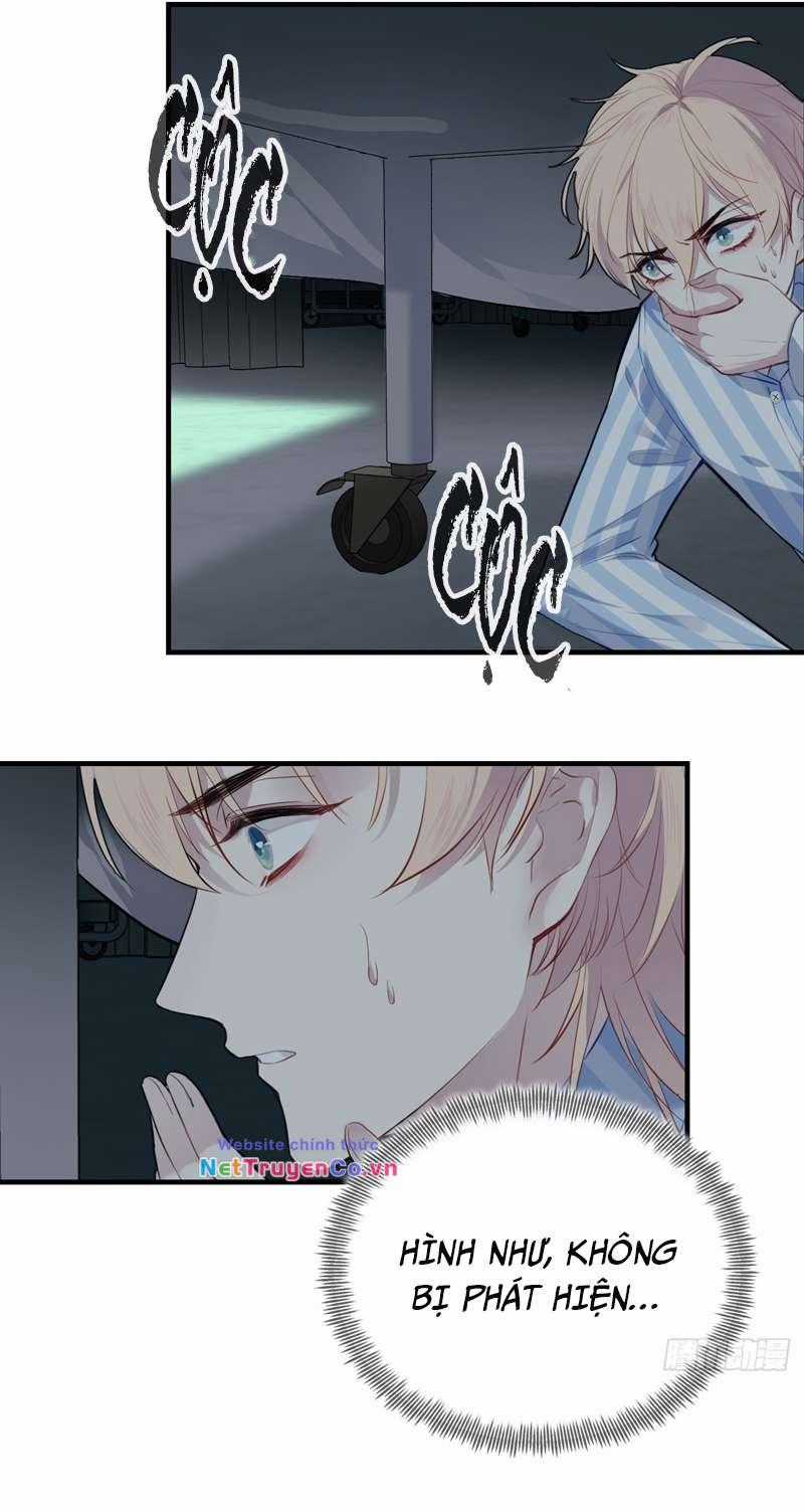 Anh Ấy Chưa Từng Rơi Xuống Chapter 19 trang 41