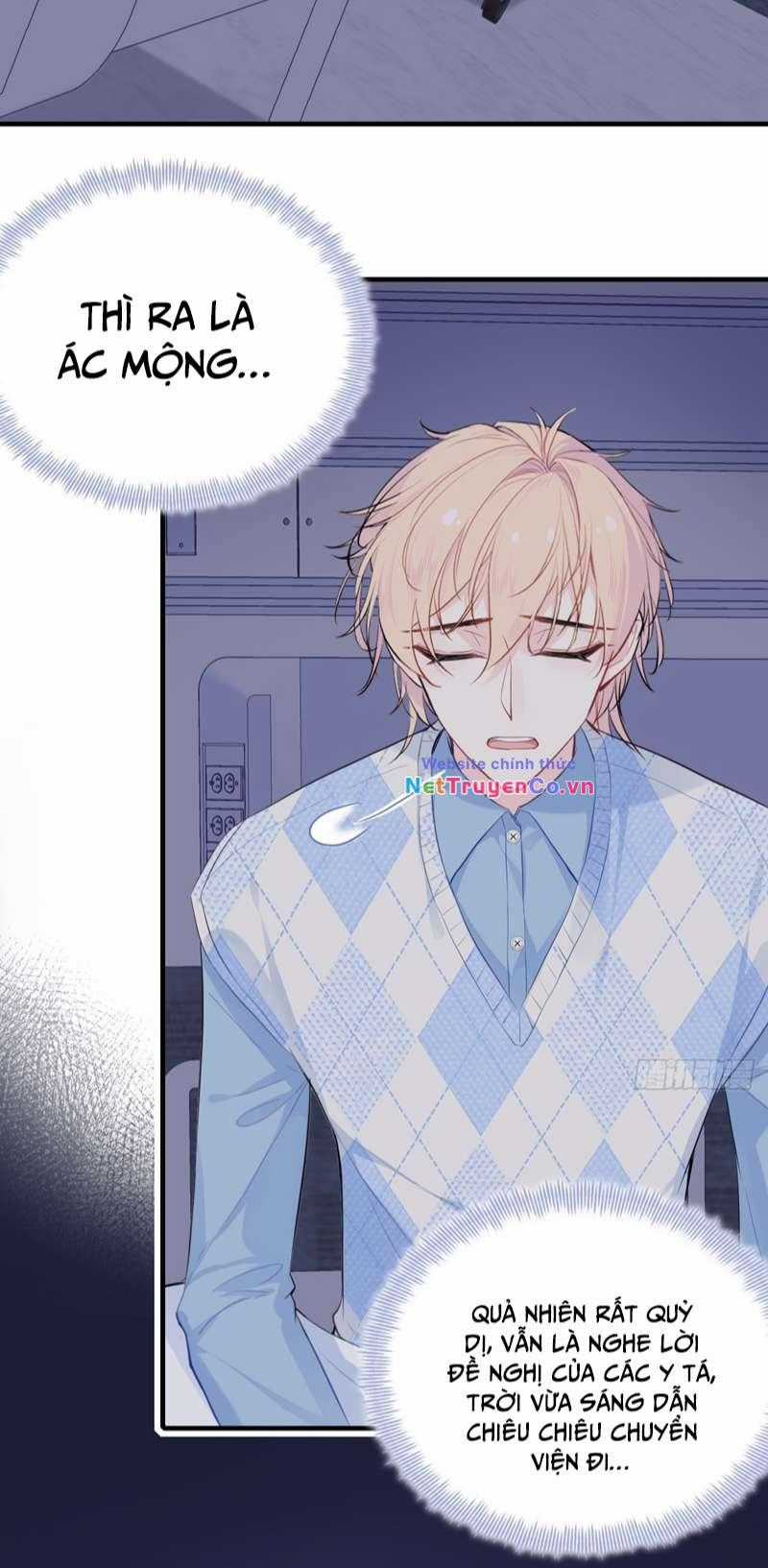 Anh Ấy Chưa Từng Rơi Xuống Chapter 20 trang 14